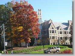 On Duke's campus.