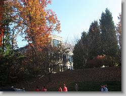 On Duke's campus.