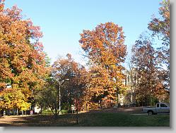 On Duke's campus.
