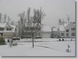 View across the yard.