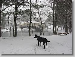 Angel at the pond