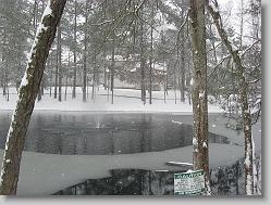 The pond.