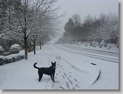 Angel in the snow