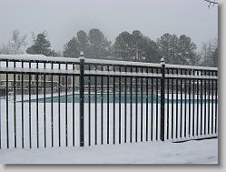 The pool