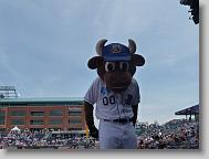 Wool E. Bull