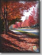 Cary, NC * (529 Slides)
