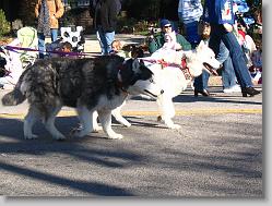 Cary Christmas parade.