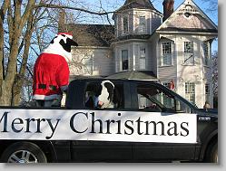 Chik-Fil-A cows