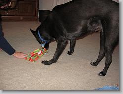 Angel opens her present...