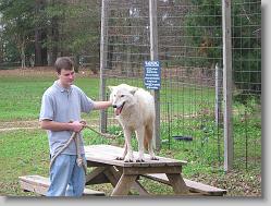 Saint Francis Wolf Sanctuary 
