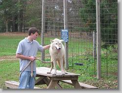 Saint Francis Wolf Sanctuary 