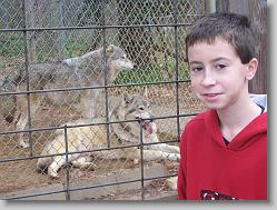 Saint Francis Wolf Sanctuary 