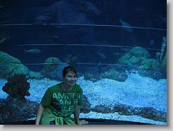 Ciara at the aquarium