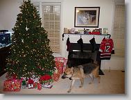 Christmas Morning, 2009  (w/Angel and Damon)