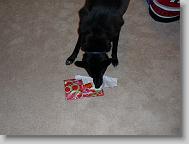 Angel found her present!