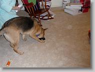 Damon enjoying his present.