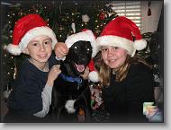 Christmas * (626 Slides)