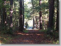 Down toward the lake (one of many in park).
