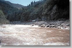 Nice rapids.