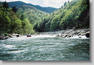 Rafting down the Nolichucky.