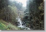 Beautiful Stream in mountains.