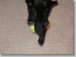 Two balls in mouth.