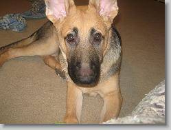 Awwww, look at that face...