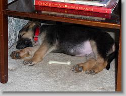 Sacked out.