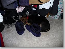 Hding in the closet.