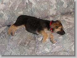 Asleep on the couch.