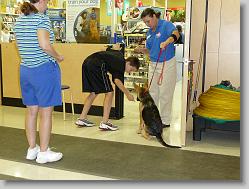 Damon at Puppy Obedience Training class.