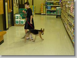 Damon at Puppy Obedience Training class.