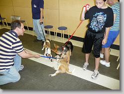 Damon with his new friends, Dexter and Riley.