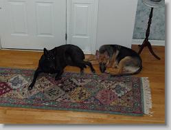 Angel and Damon hangin out.