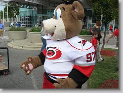 Stormy, lawn party prior to game
