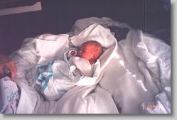 Ciara - 1 day old.