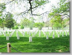 Arlington National Cemetary.
http://www.arlingtoncemetery.org/