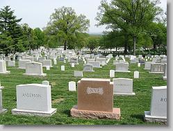Arlington.
