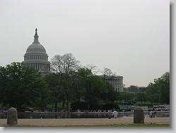 The Capital.