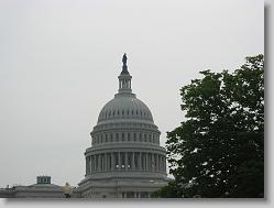 The Capital.