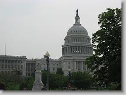 The Capital.