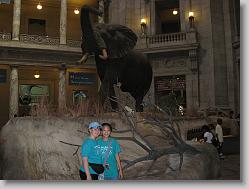 Museum of Natural History, Smithsonian, http://www.mnh.si.edu/