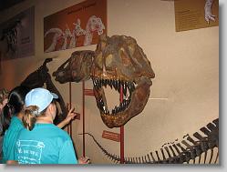 Museum of Natural History, Smithsonian