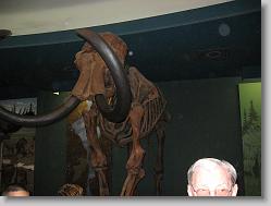 Museum of Natural History, Smithsonian