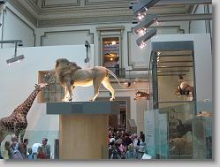 Museum of Natural History, Smithsonian