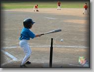 Baseball 2003 * (30 Slides)