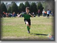 Soccer 2008 * (96 Slides)