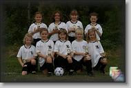 Zappers * (255 Slides)