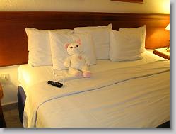 [Amy] settling in for the night.