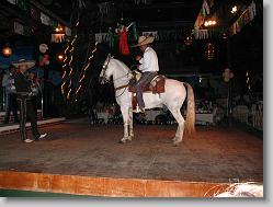 Dancing horse!